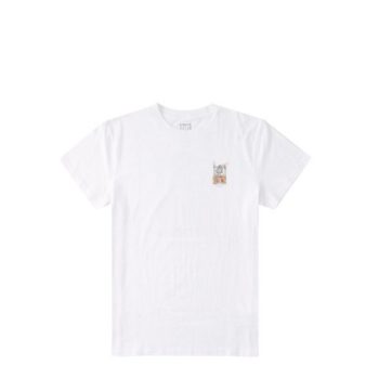 adyzt04925_dcshoes,tee day one (1)