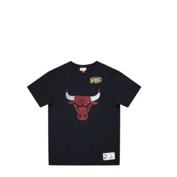 Mitchell&Ness Legendary Slub T-shirt Chicago Bulls