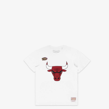 Mitchell&Ness Team Logo Tee Chicago Bulls