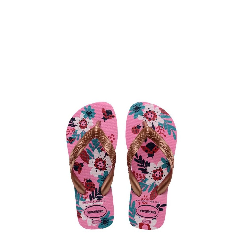 hv_0156_4000052.1749.a