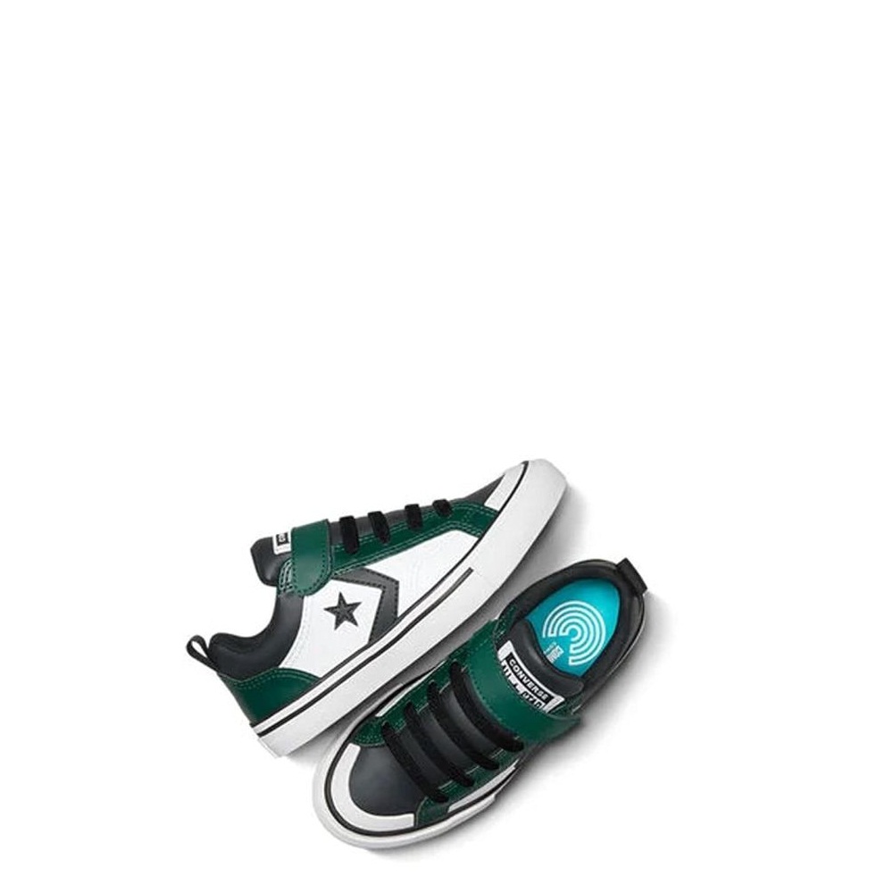 61nQHdF4VVL._UY1000_